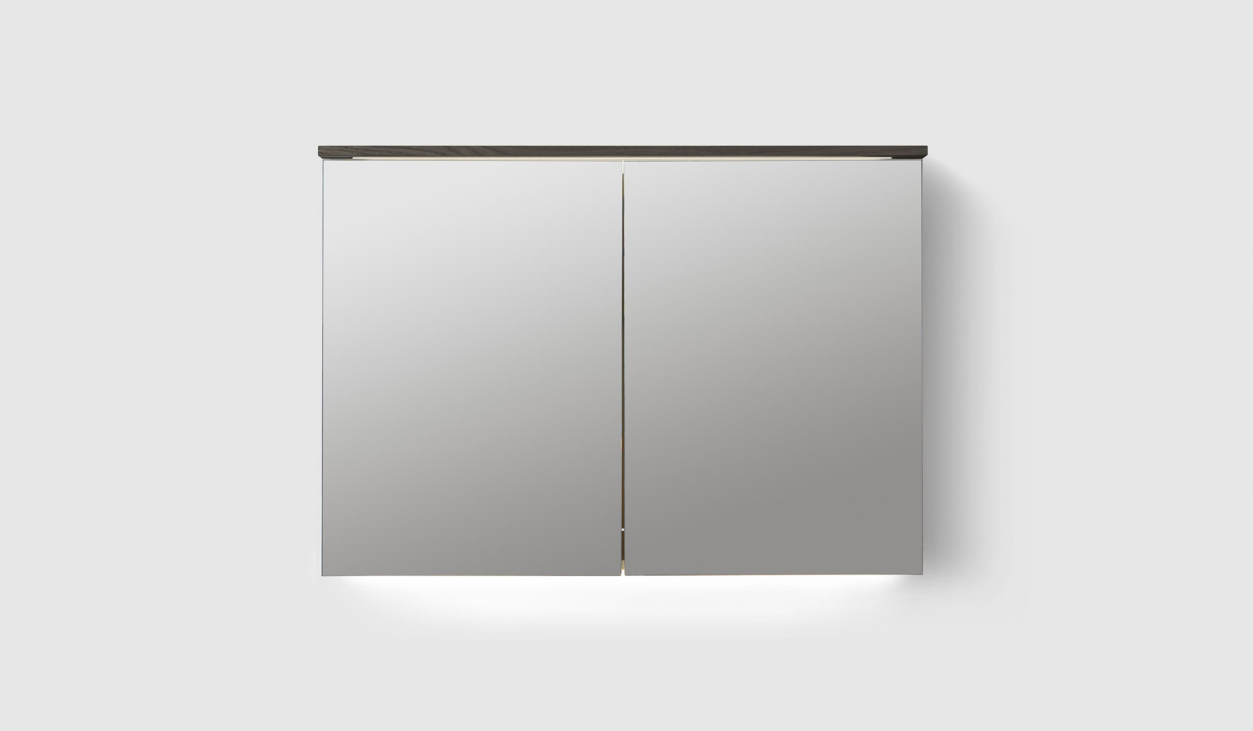 H2/MC100 Dark Wood H2 Mirror Cabinet